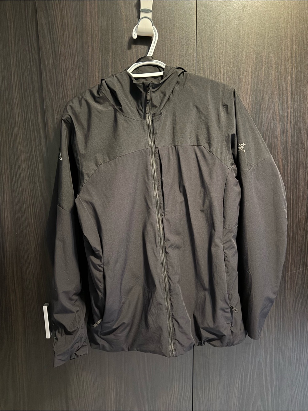 Arc'teryx Proton hoodie - men’s lrg